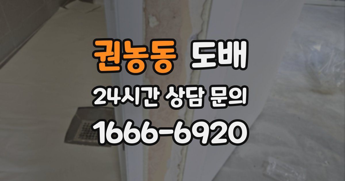 권농동 도배