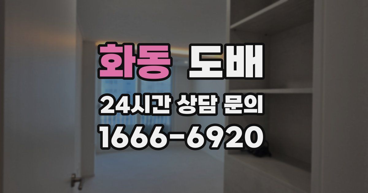 화동 도배