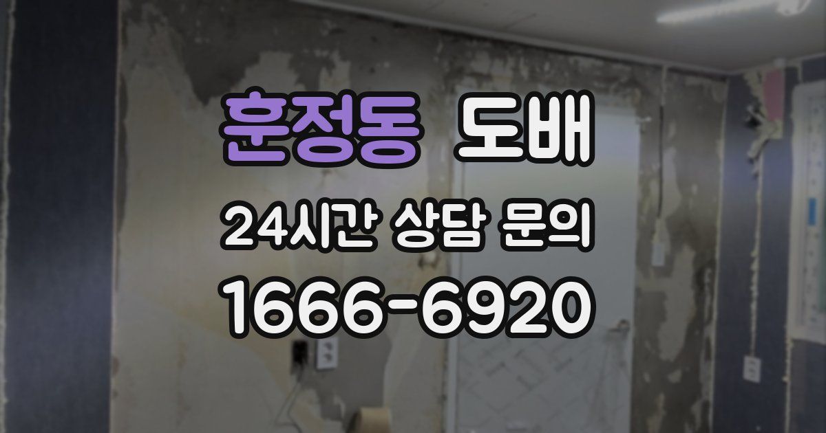훈정동 도배