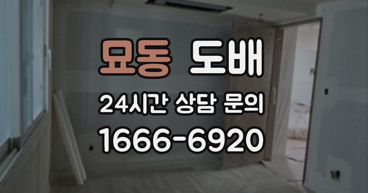 묘동 도배