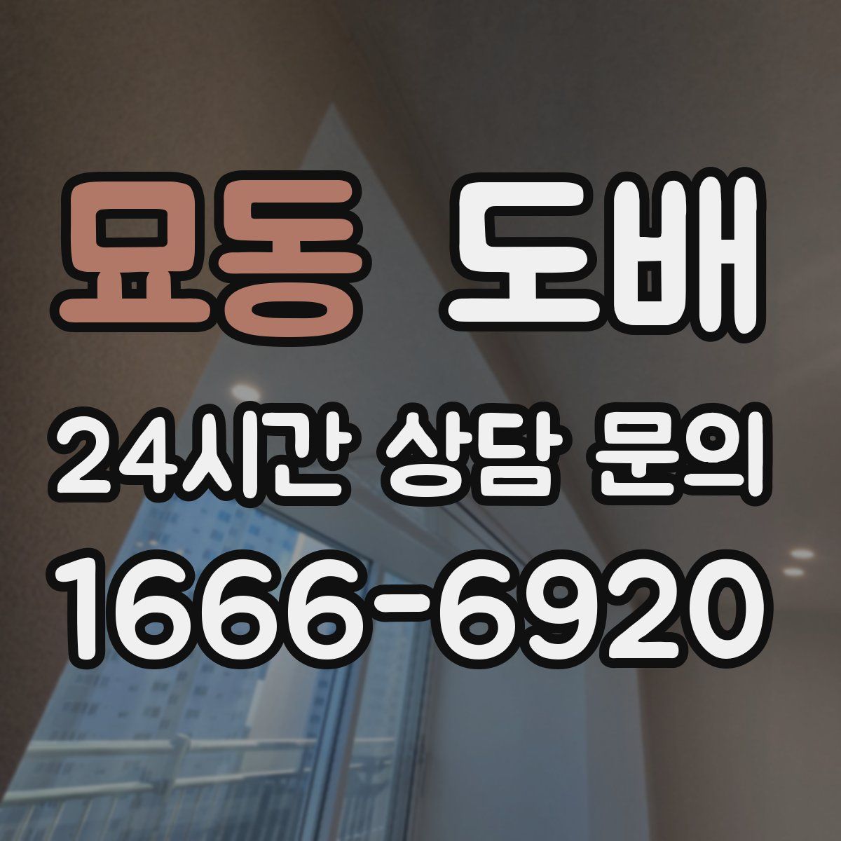묘동 도배