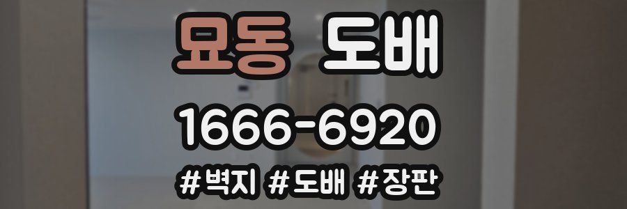 묘동 도배