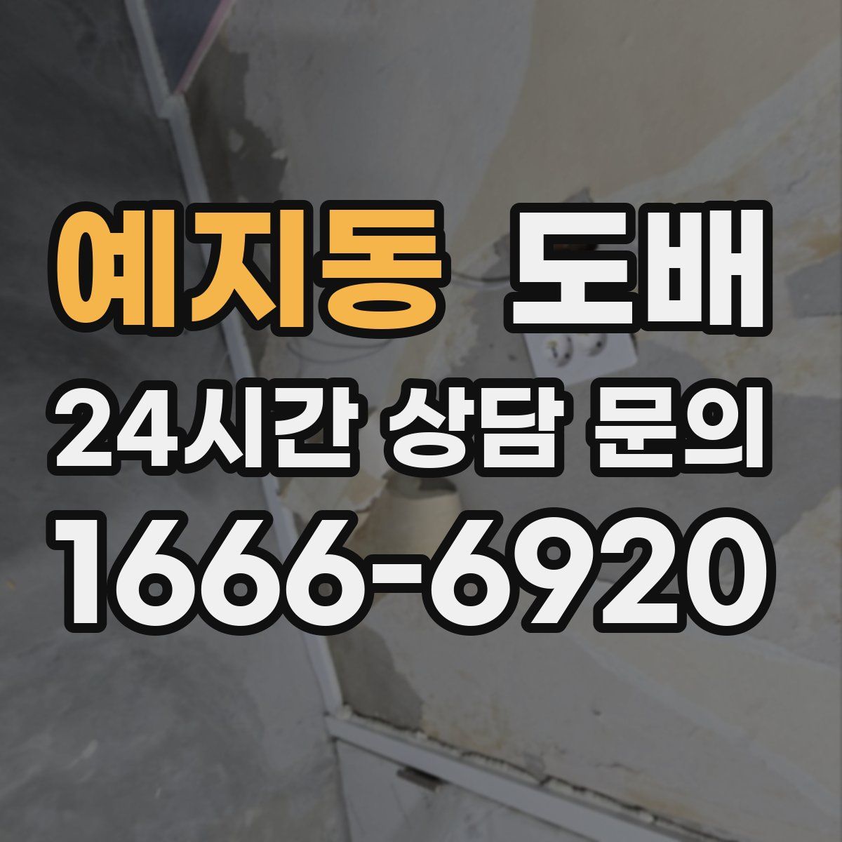 예지동 도배