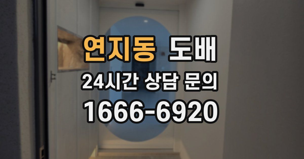 연지동 도배