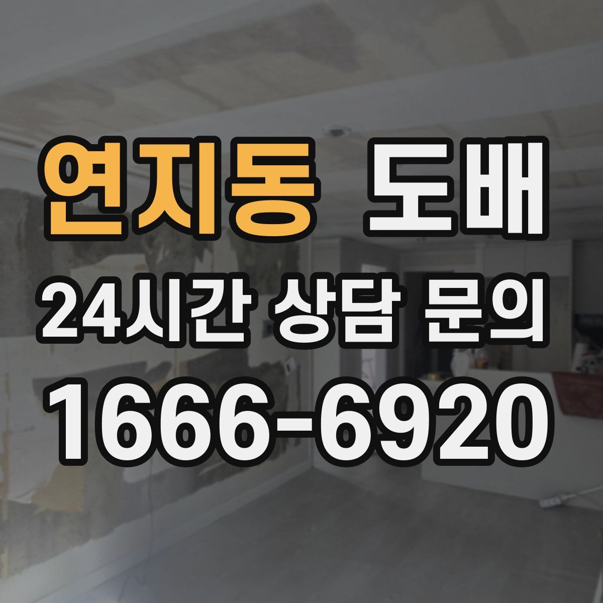 연지동 도배