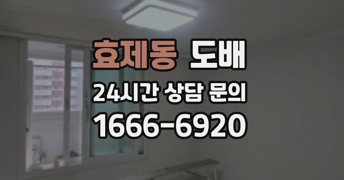 효제동 도배