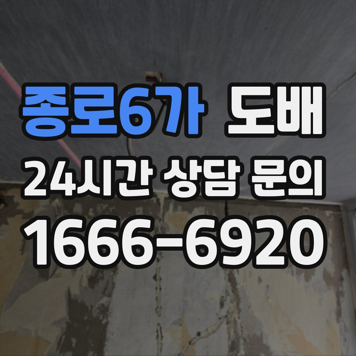 종로6가 도배