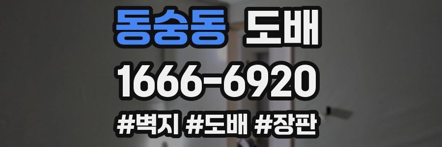 동숭동 도배