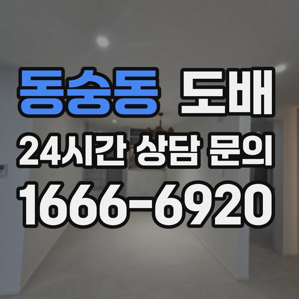 동숭동 도배