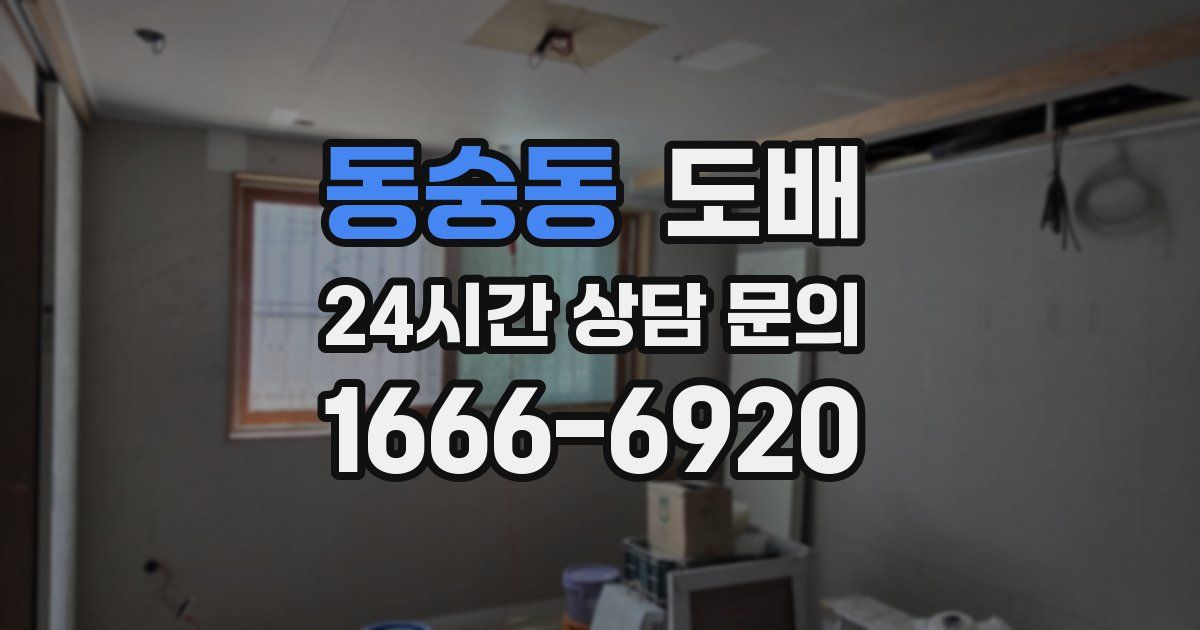 동숭동 도배
