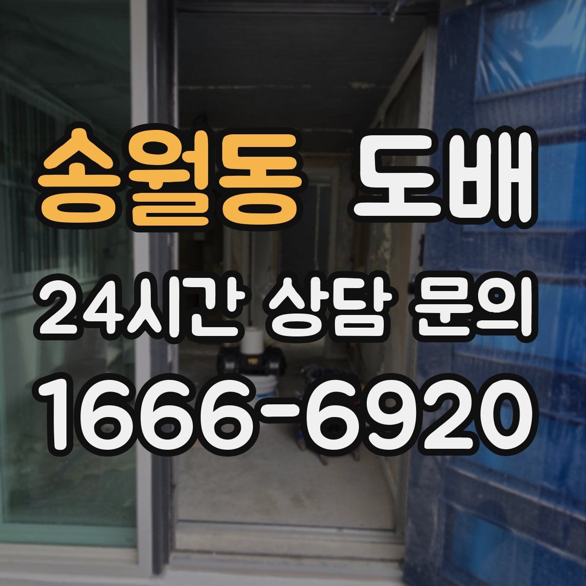 송월동 도배