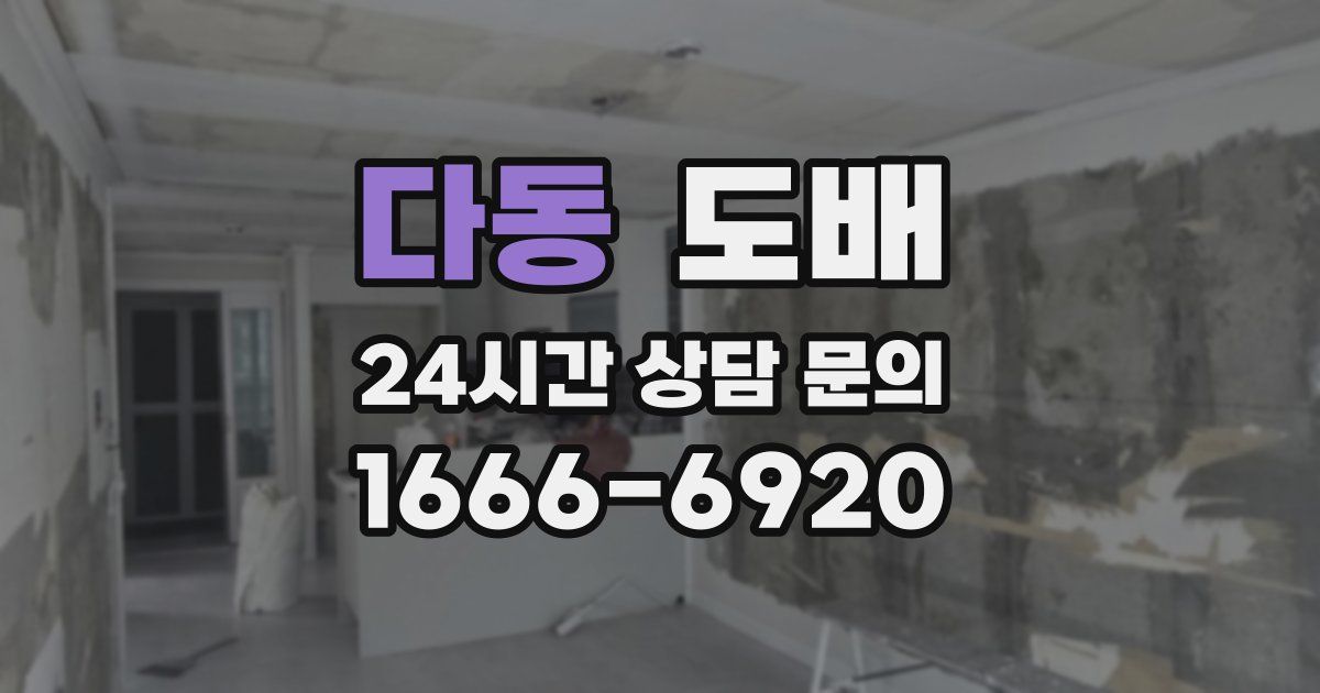 다동 도배