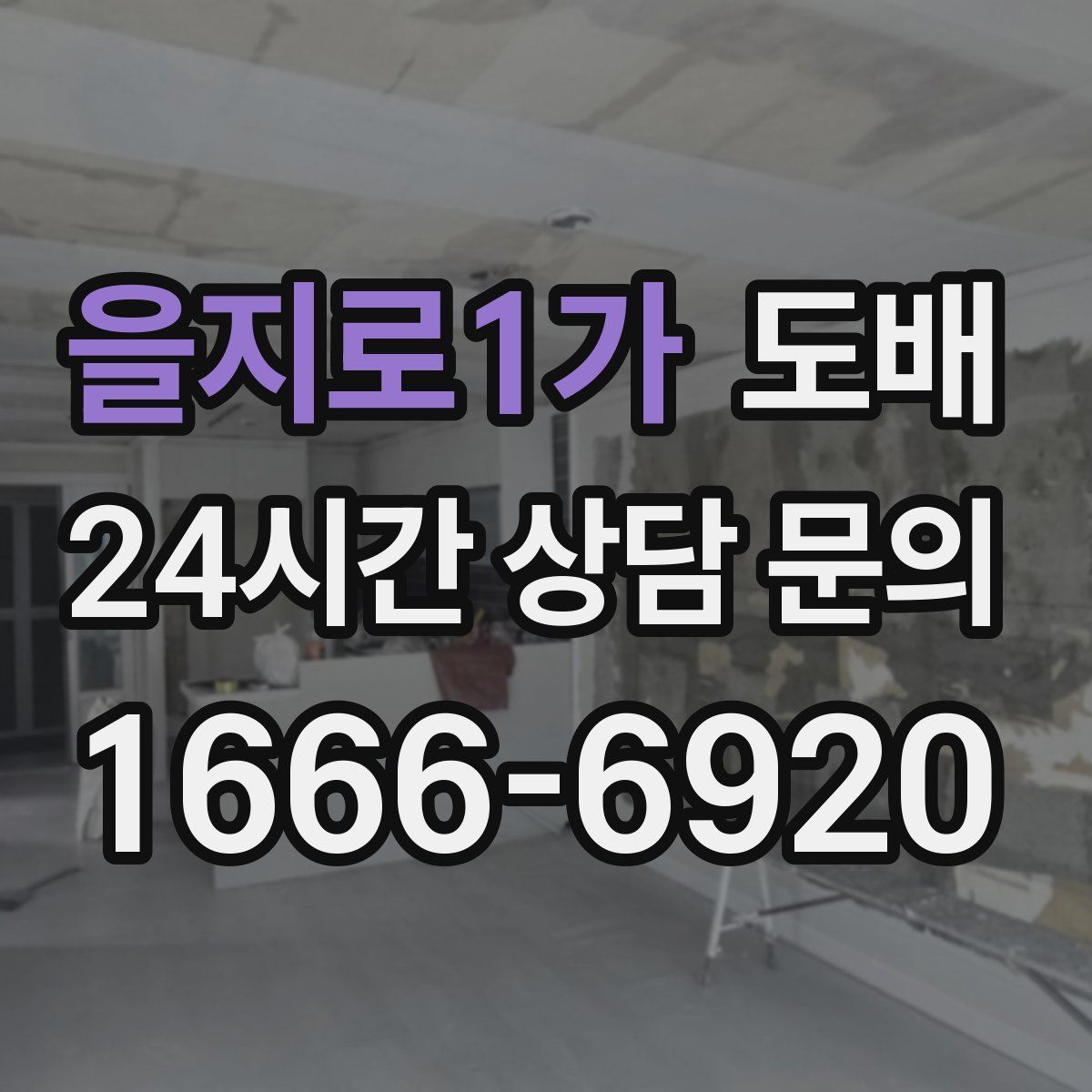 을지로1가 도배