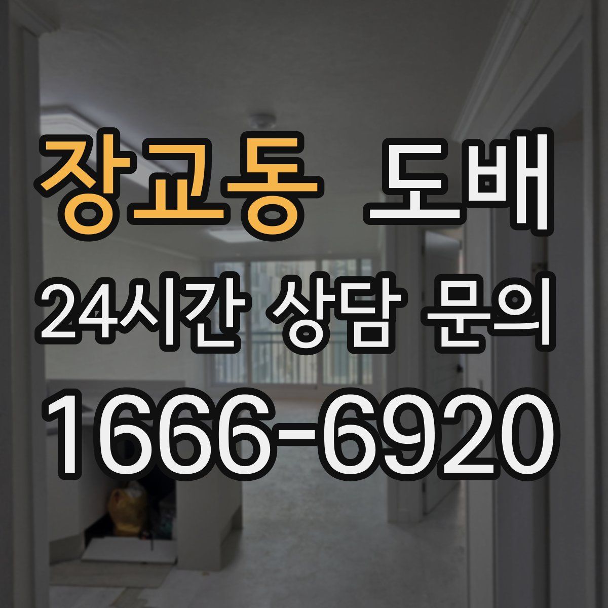 장교동 도배