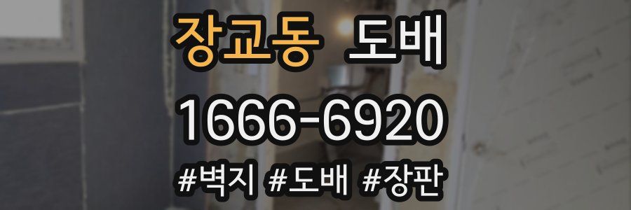 장교동 도배