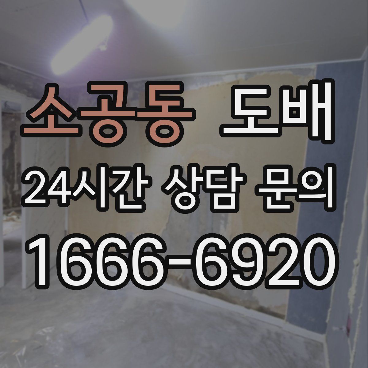 소공동 도배