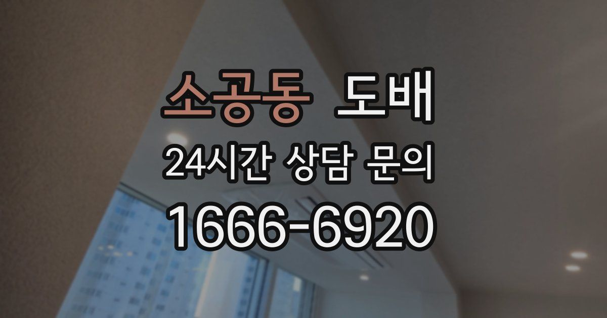 소공동 도배