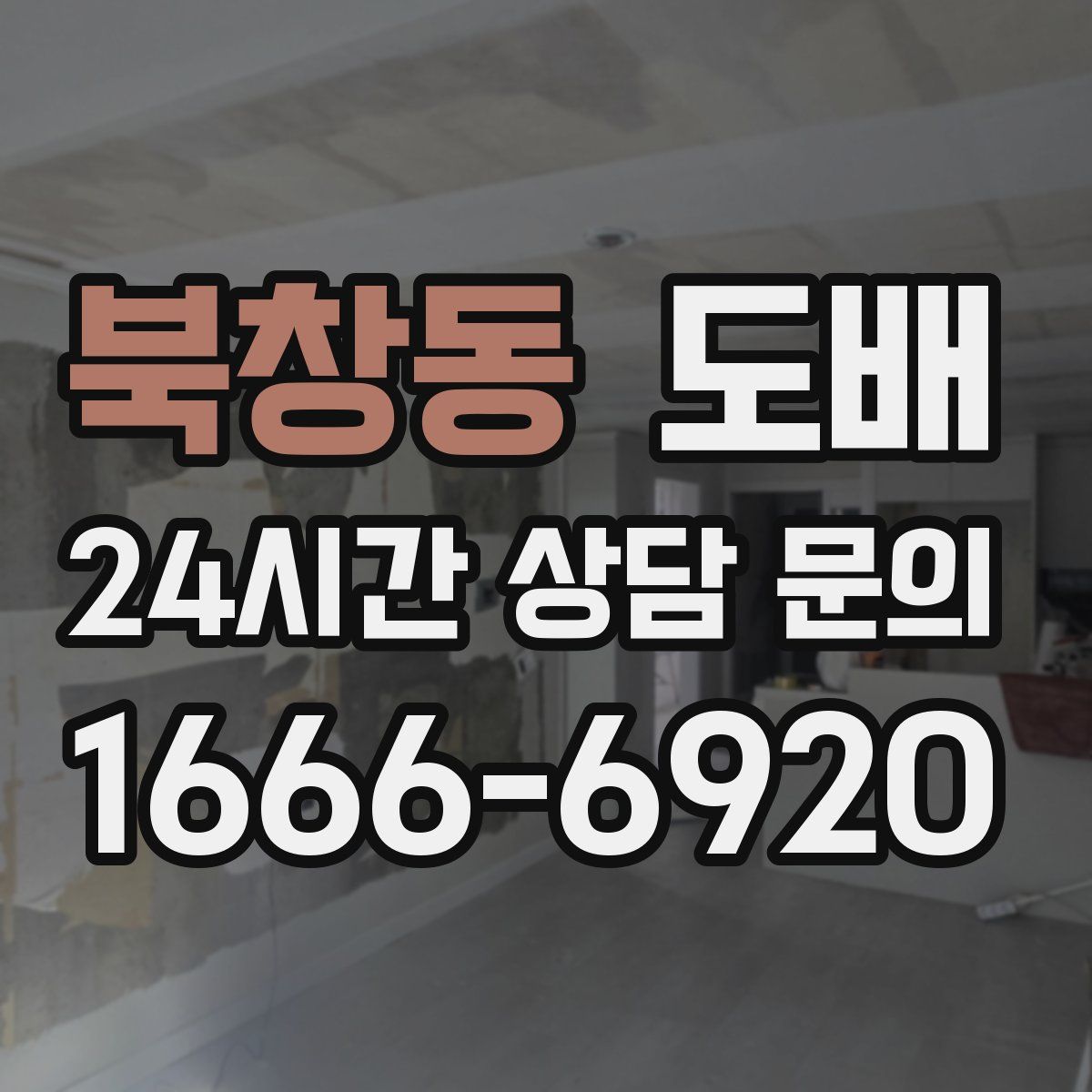 북창동 도배