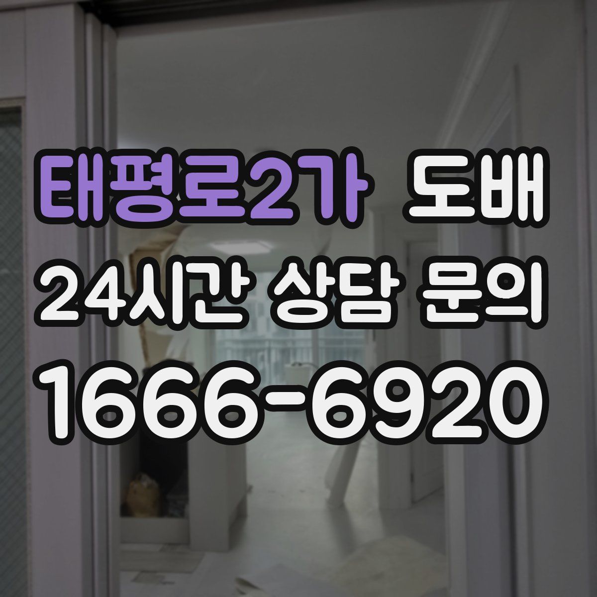 태평로2가 도배