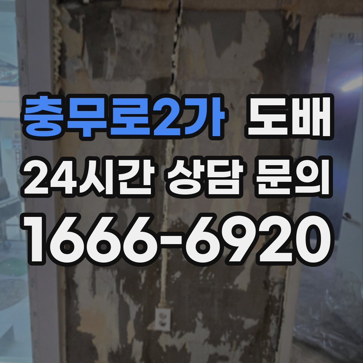 충무로2가 도배