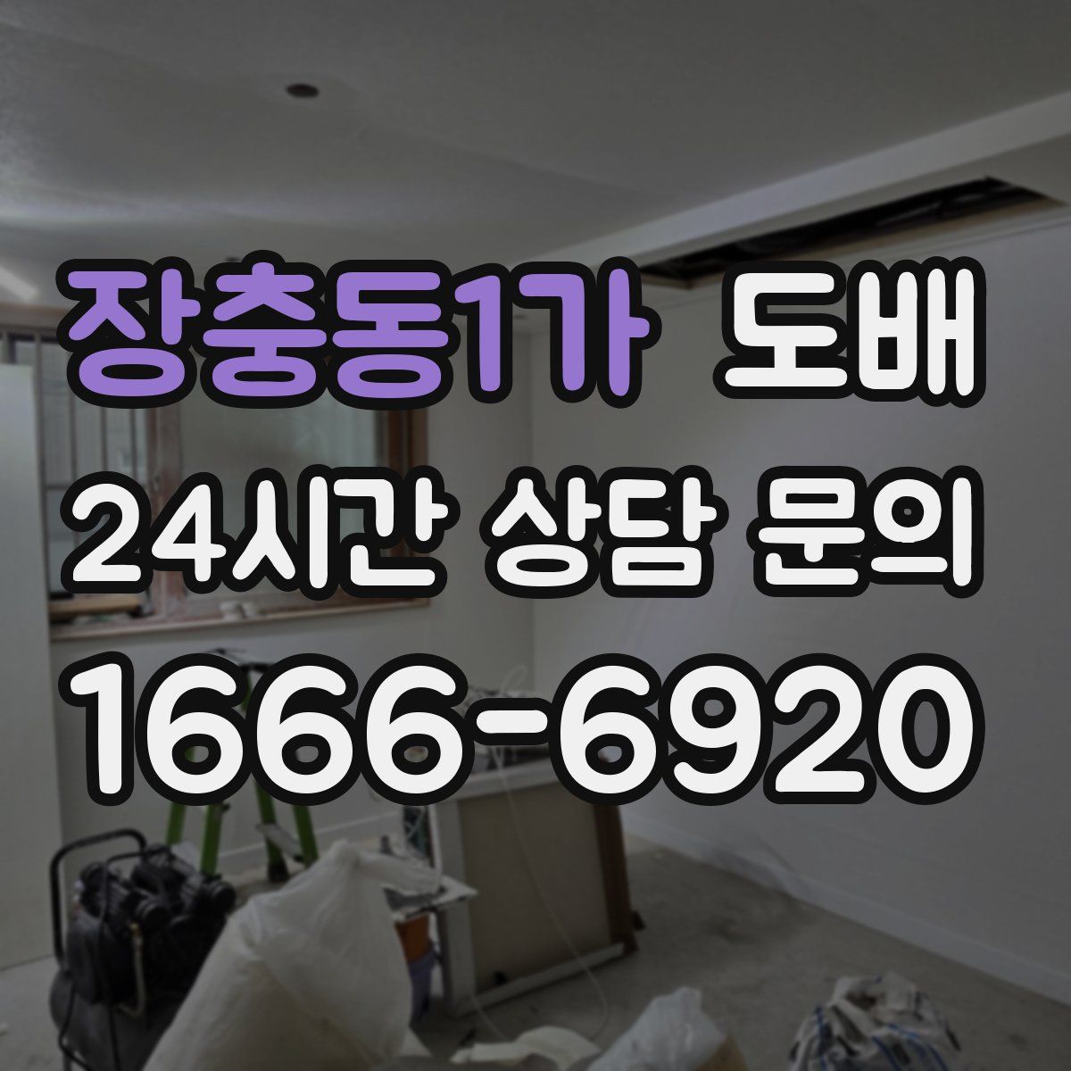 장충동1가 도배