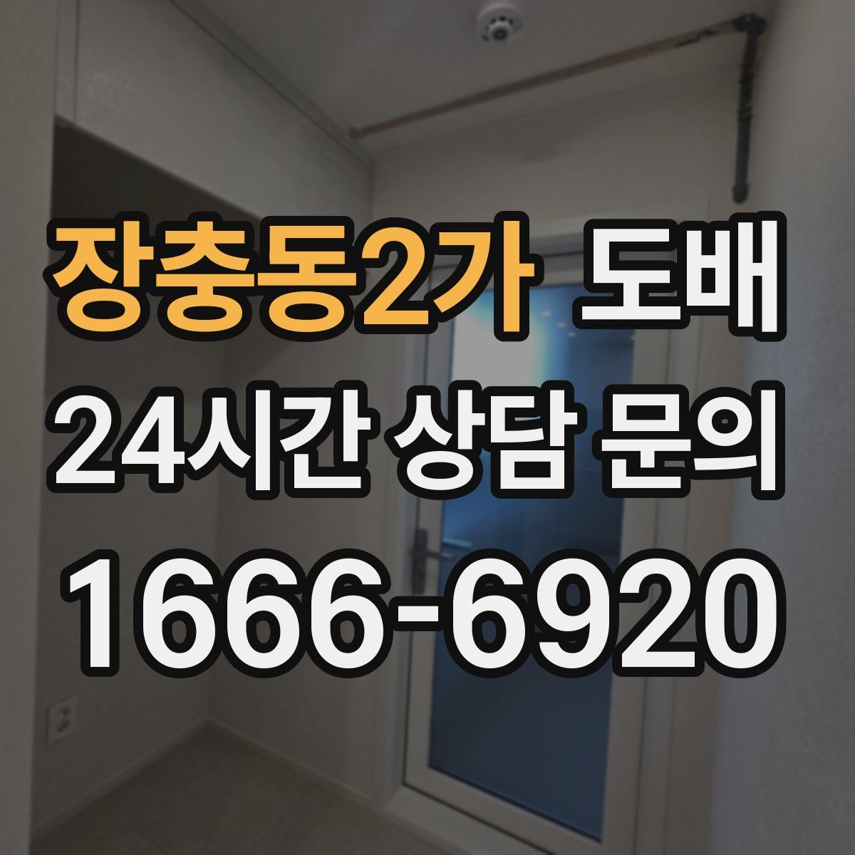 장충동2가 도배
