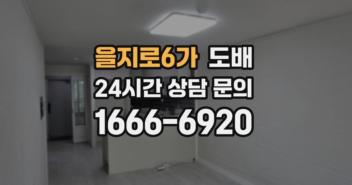 을지로6가 도배