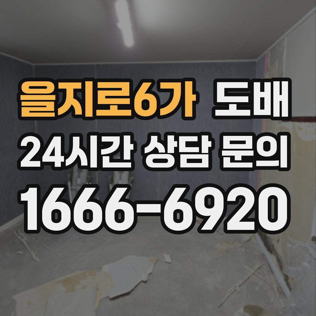 을지로6가 도배