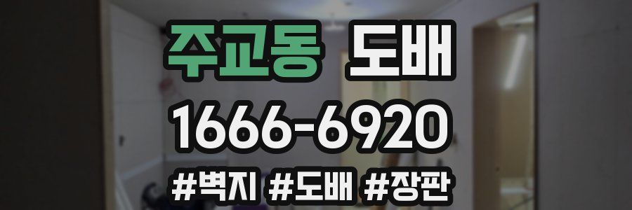 주교동 도배