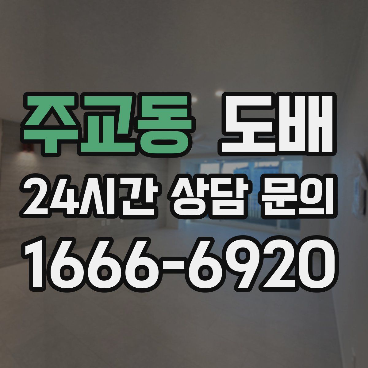 주교동 도배