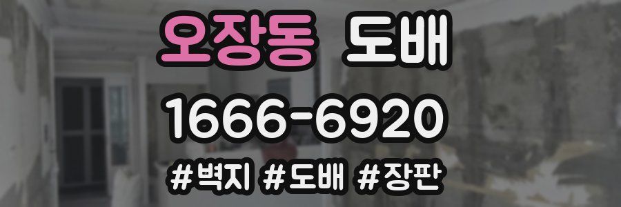 오장동 도배