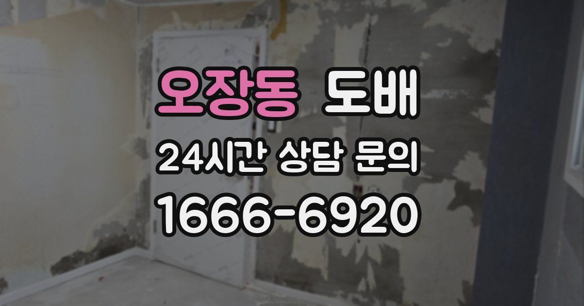 오장동 도배