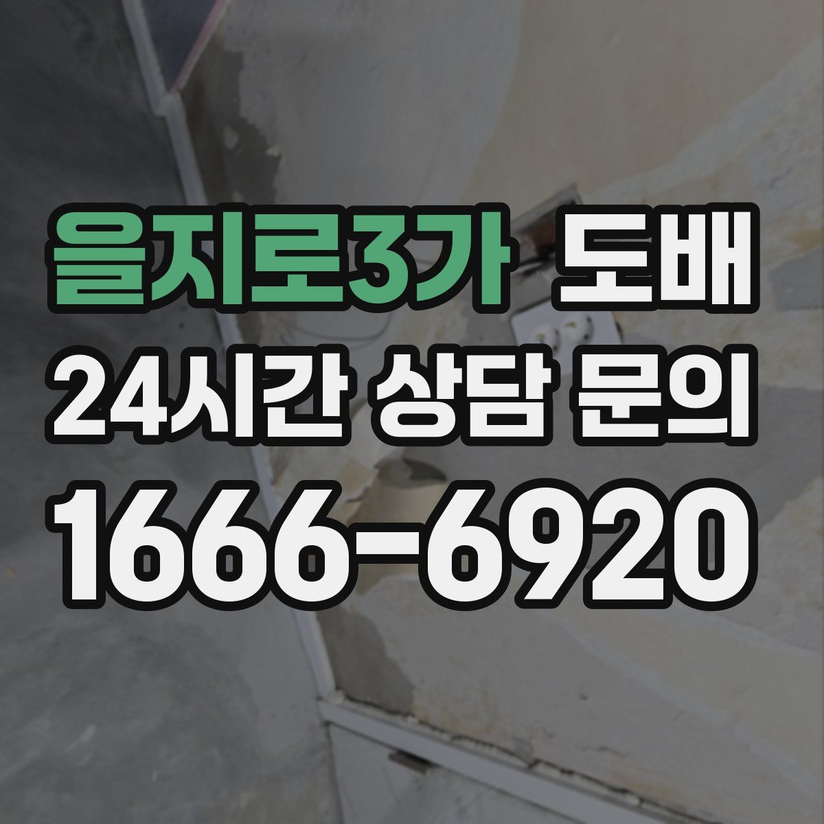 을지로3가 도배
