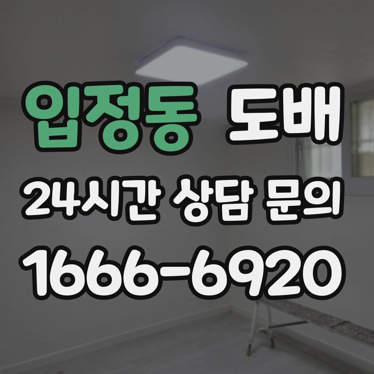 입정동 도배