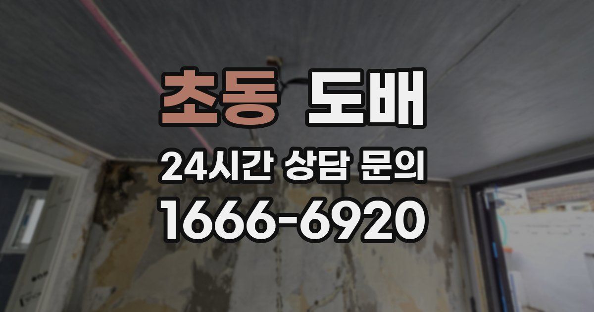 초동 도배
