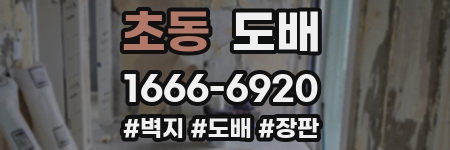 초동 도배