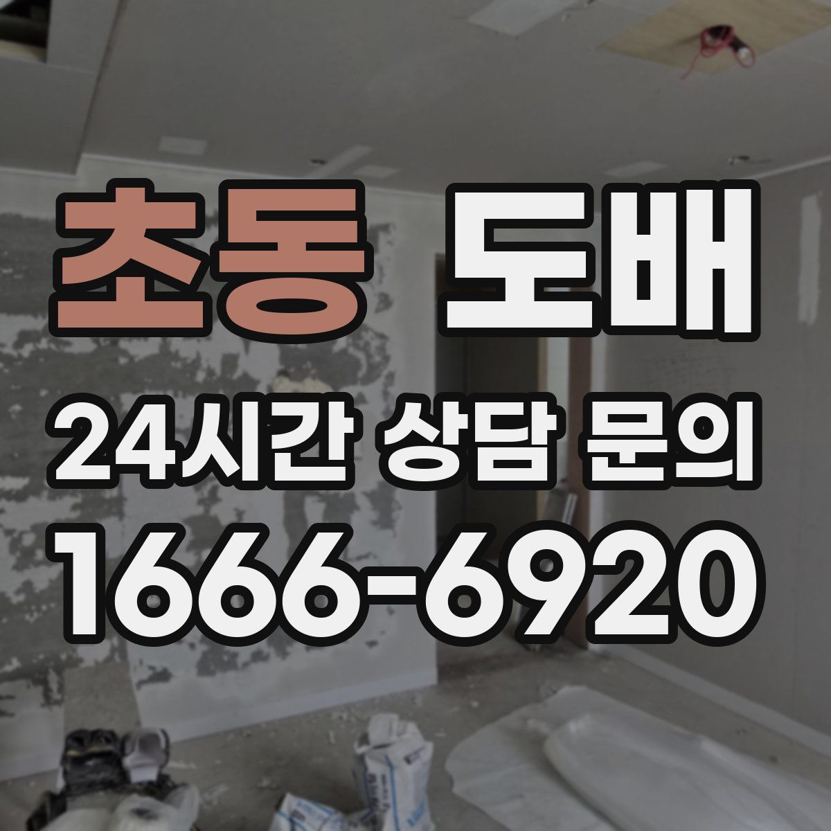 초동 도배