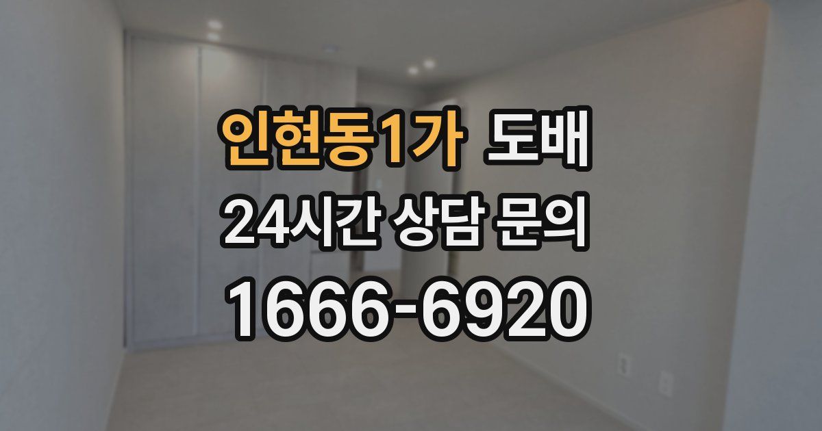 인현동1가 도배