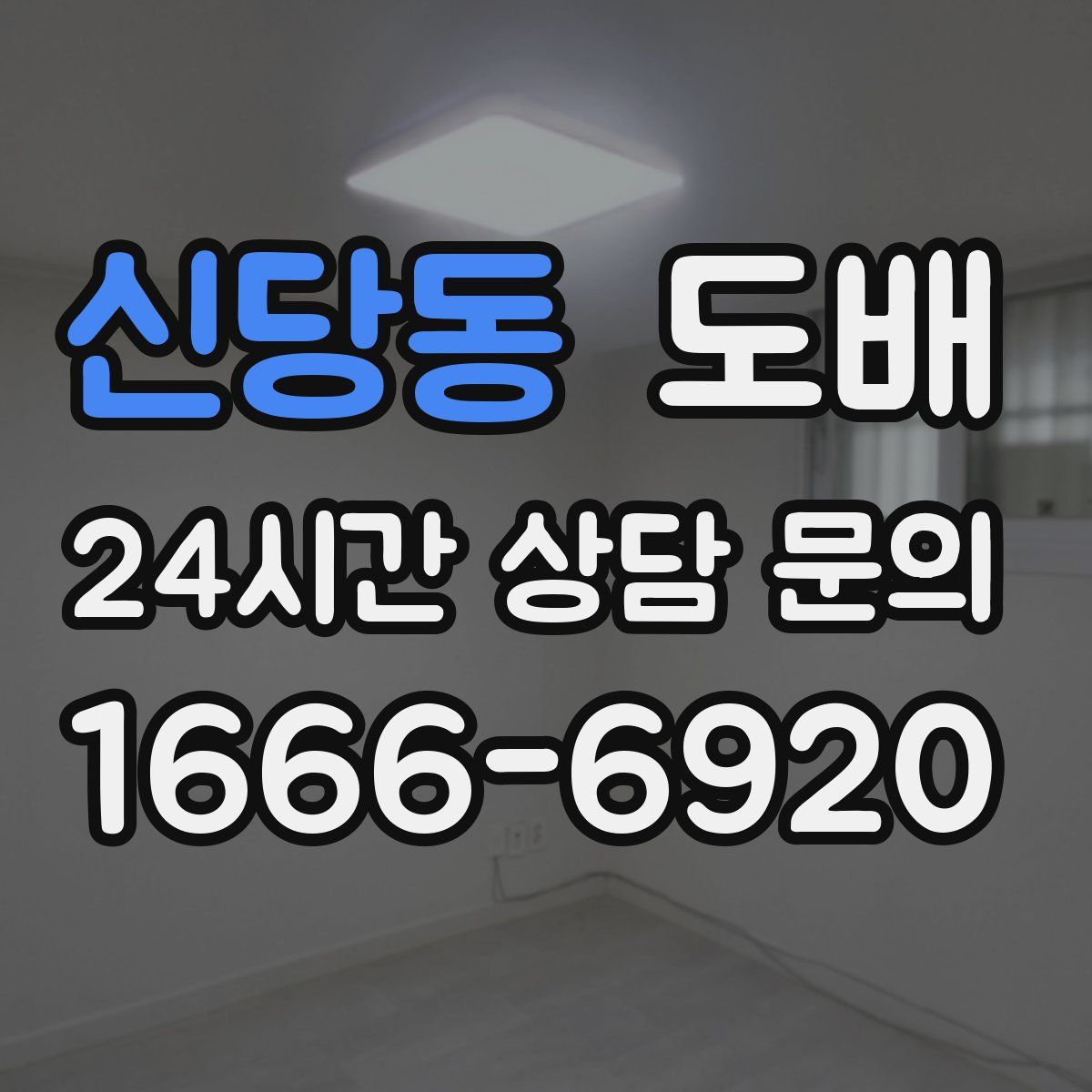 신당동 도배