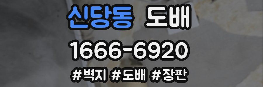 신당동 도배