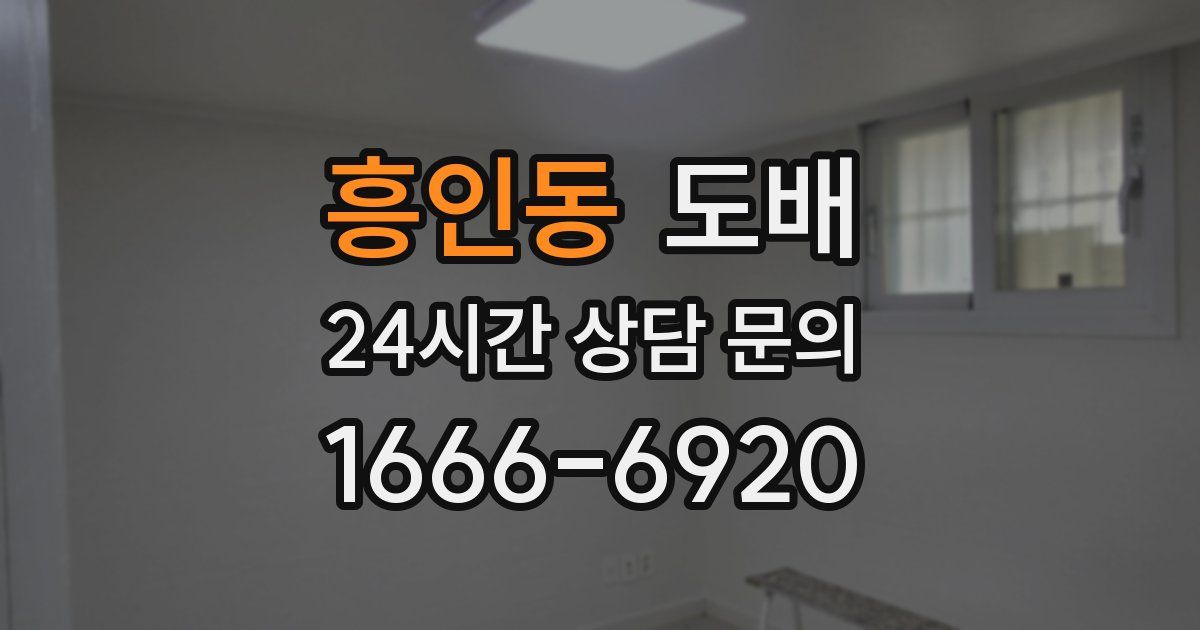 흥인동 도배