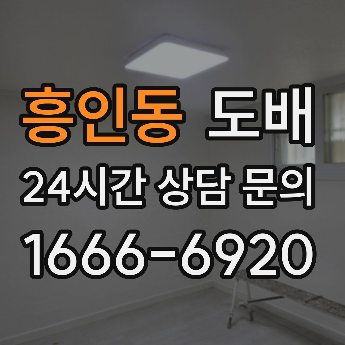 흥인동 도배