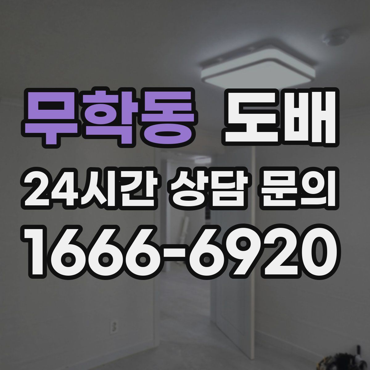 무학동 도배
