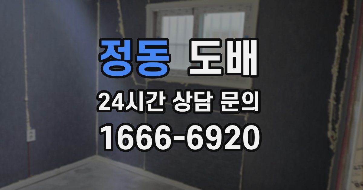 정동 도배