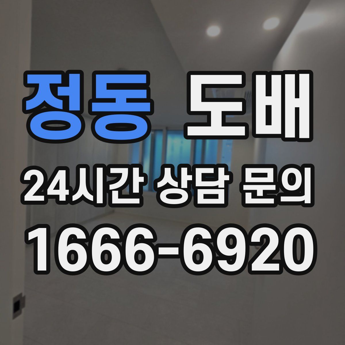 정동 도배