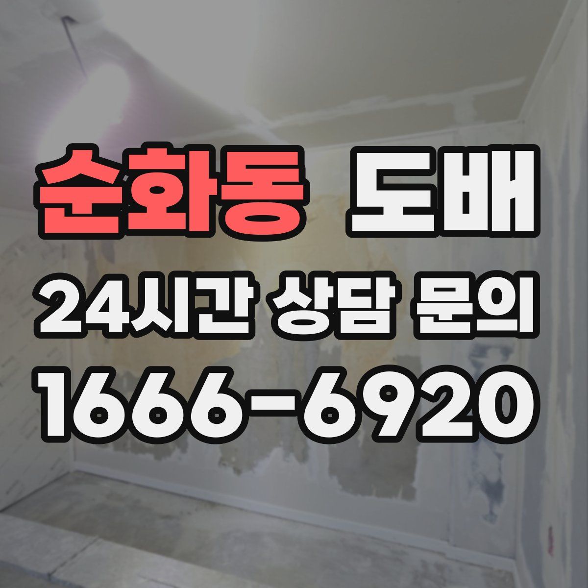 순화동 도배