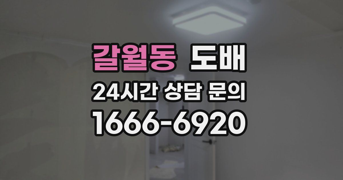 갈월동 도배