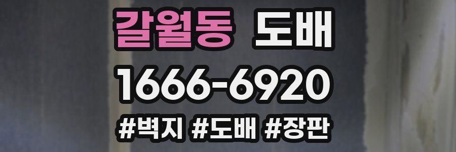 갈월동 도배