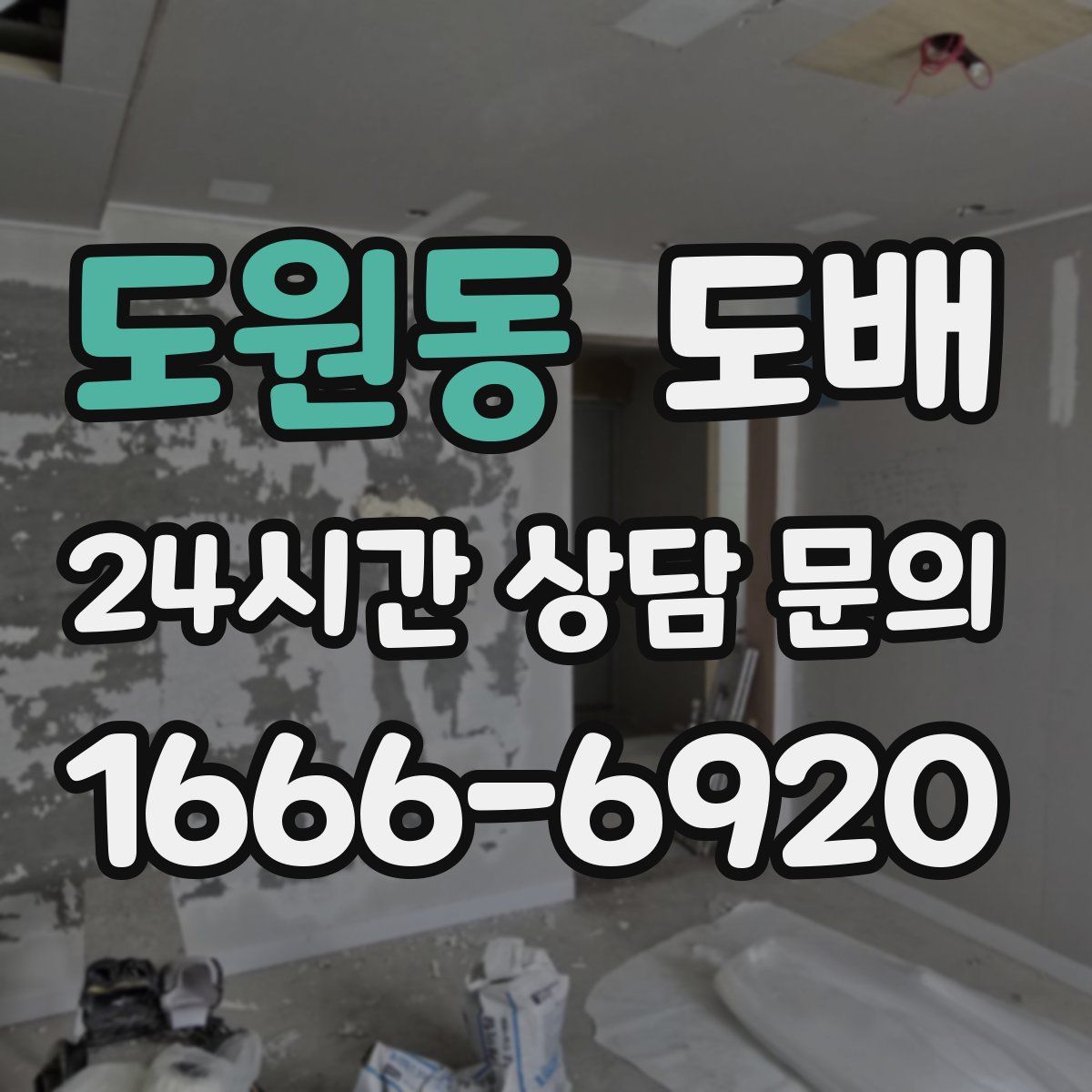 도원동 도배