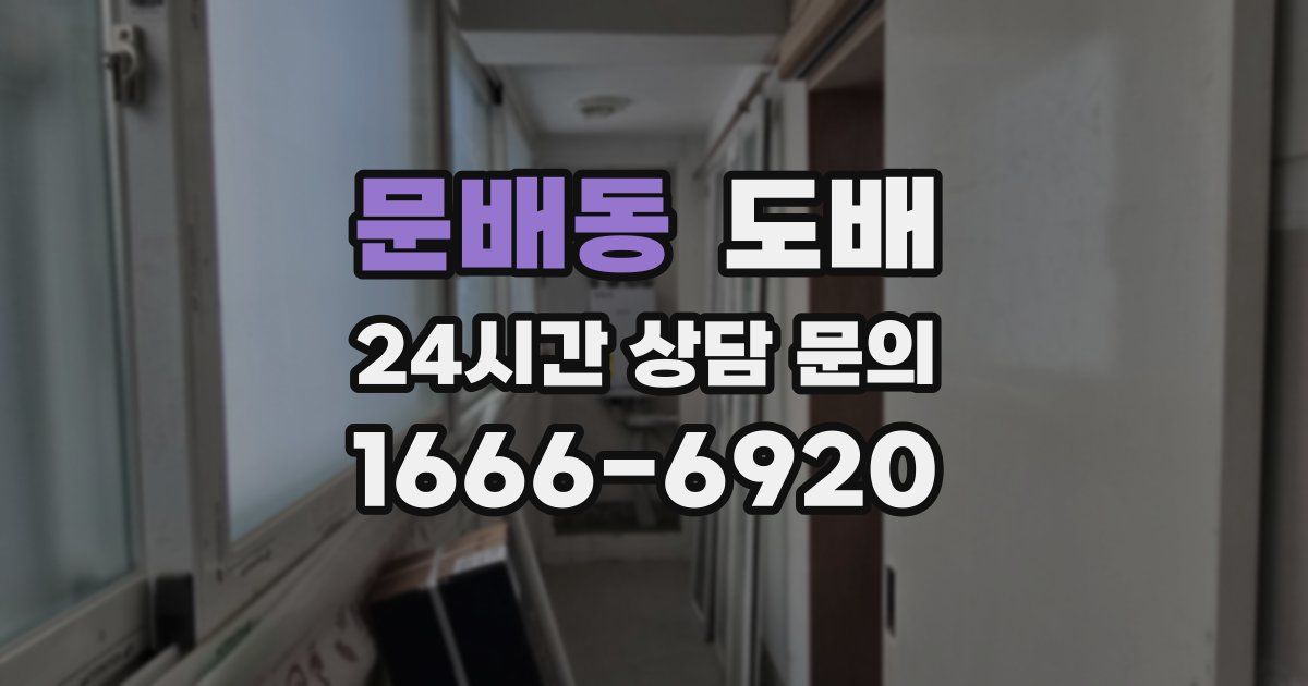 문배동 도배